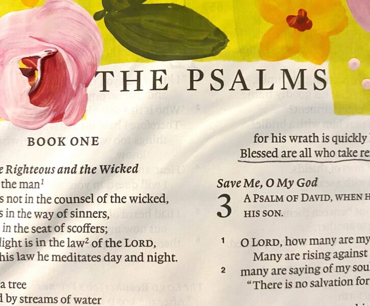 Psalms Journaling Bible Flip Through. ESV Interleaved Bible. All Acrylic Paintings. By Scribbling Grace
